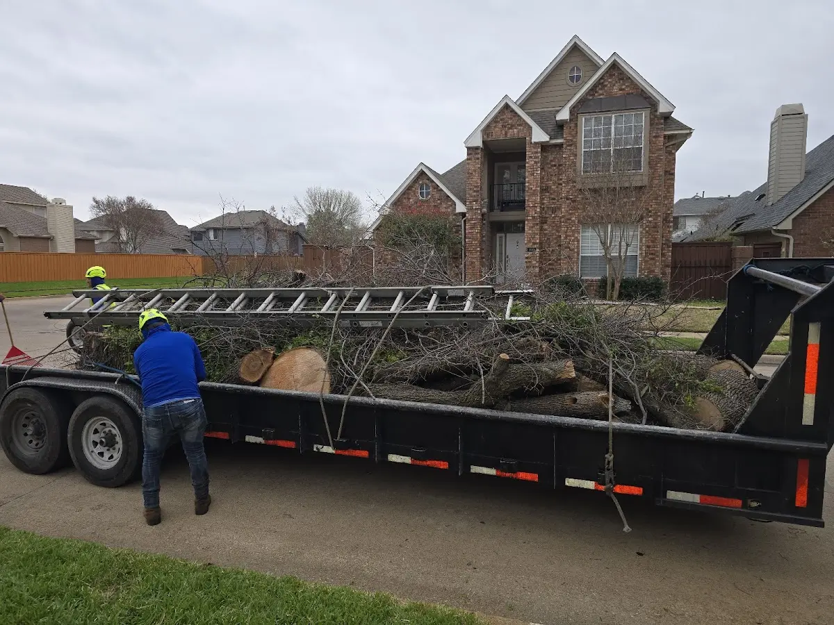 Expert Tree Removal with proper safety equipment in Port Isabel